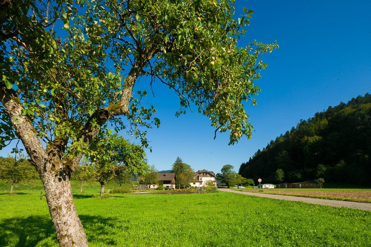 Landgasthof Kinzigstrand Biberach bei Offenburg Kültér fotó